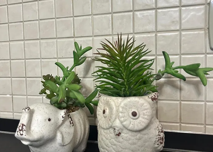 Διαμέρισμα Brejsa's Nest