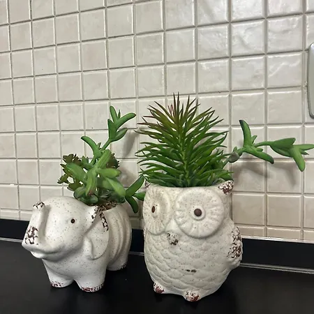 Apartment Brejsa's Nest