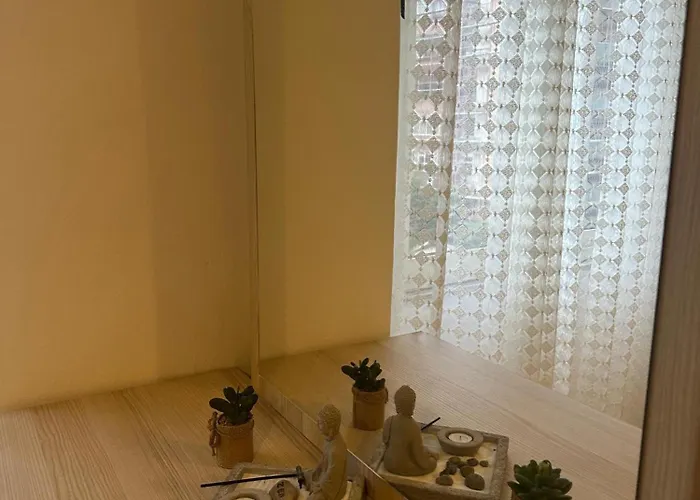 Brejsa's Nest Tirana